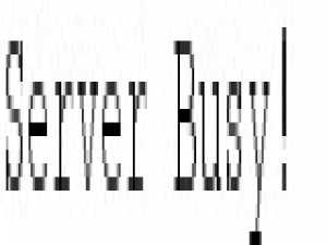 www.qklok.pl
